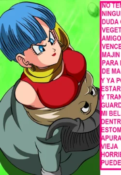 BULMA Y PETISA SAGA MAJIN BU [Dicasty]
