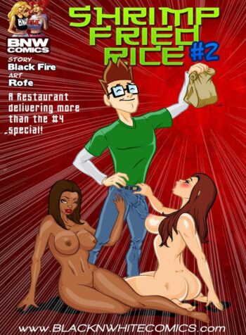 Shrimp Fried Rice #2 [Rofe] (gedecomix cover)