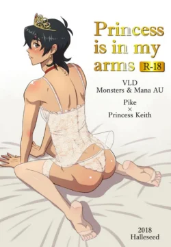 Princess is in My Arms [halleseed]