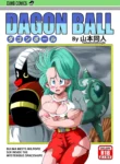 Dagon Ball – Bulma & Mr. Popo