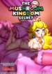 [PalComix] The Mushroom Kingdom Secret