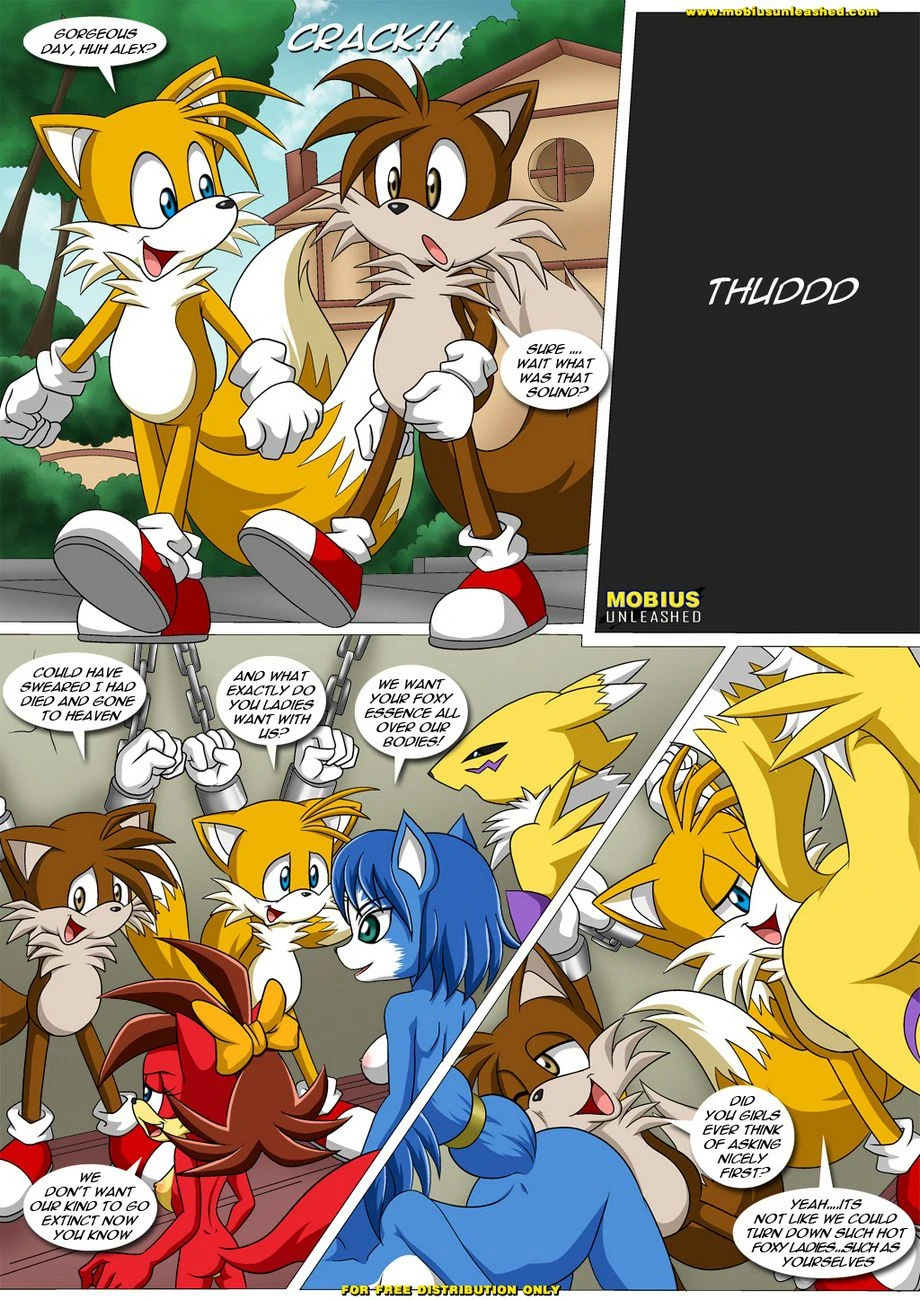 FoXXXes (Star Fox , Sonic the Hedgehog) [Palcomix] - 2 . FoXXXes - Chapter 2 (Star Fox , Sonic the Hedgehog) [Palcomix] - Page 2