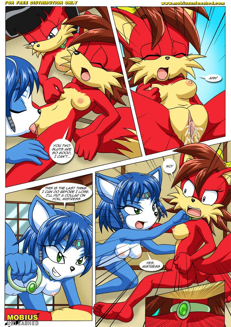 FoXXXes (Star Fox , Sonic the Hedgehog) [Palcomix] - 1 . FoXXXes - Chapter 1 (Star Fox , Sonic the Hedgehog) [Palcomix] - Page 19