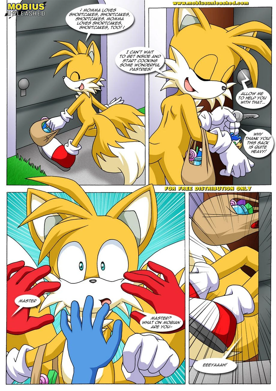 FoXXXes (Star Fox , Sonic the Hedgehog) [Palcomix] - 1 . FoXXXes - Chapter 1 (Star Fox , Sonic the Hedgehog) [Palcomix] - Page 20