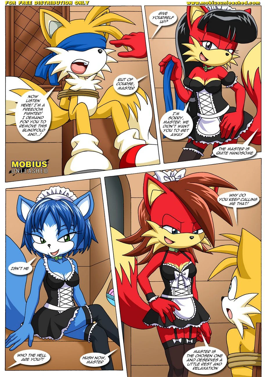 FoXXXes (Star Fox , Sonic the Hedgehog) [Palcomix] - 1 . FoXXXes - Chapter 1 (Star Fox , Sonic the Hedgehog) [Palcomix] - Page 21