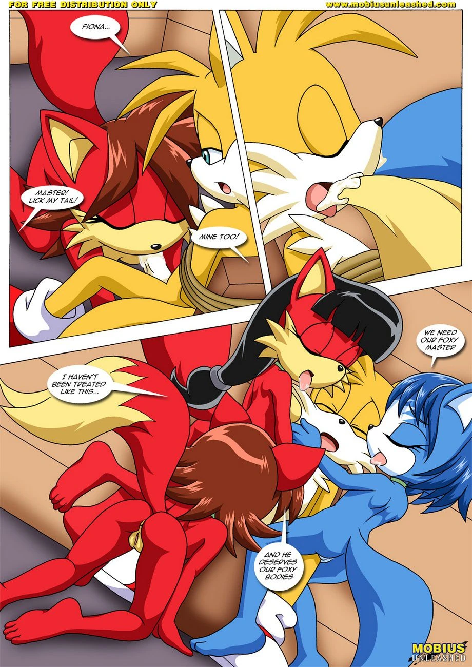 FoXXXes (Star Fox , Sonic the Hedgehog) [Palcomix] - 1 . FoXXXes - Chapter 1 (Star Fox , Sonic the Hedgehog) [Palcomix] - Page 25
