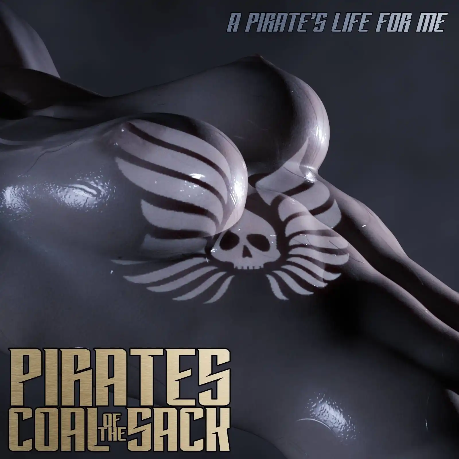 Pirates Of The Coal Sack [DangerousLines] - 11. Pirates Of The Coal Sack - Chapter 11 - Page 1