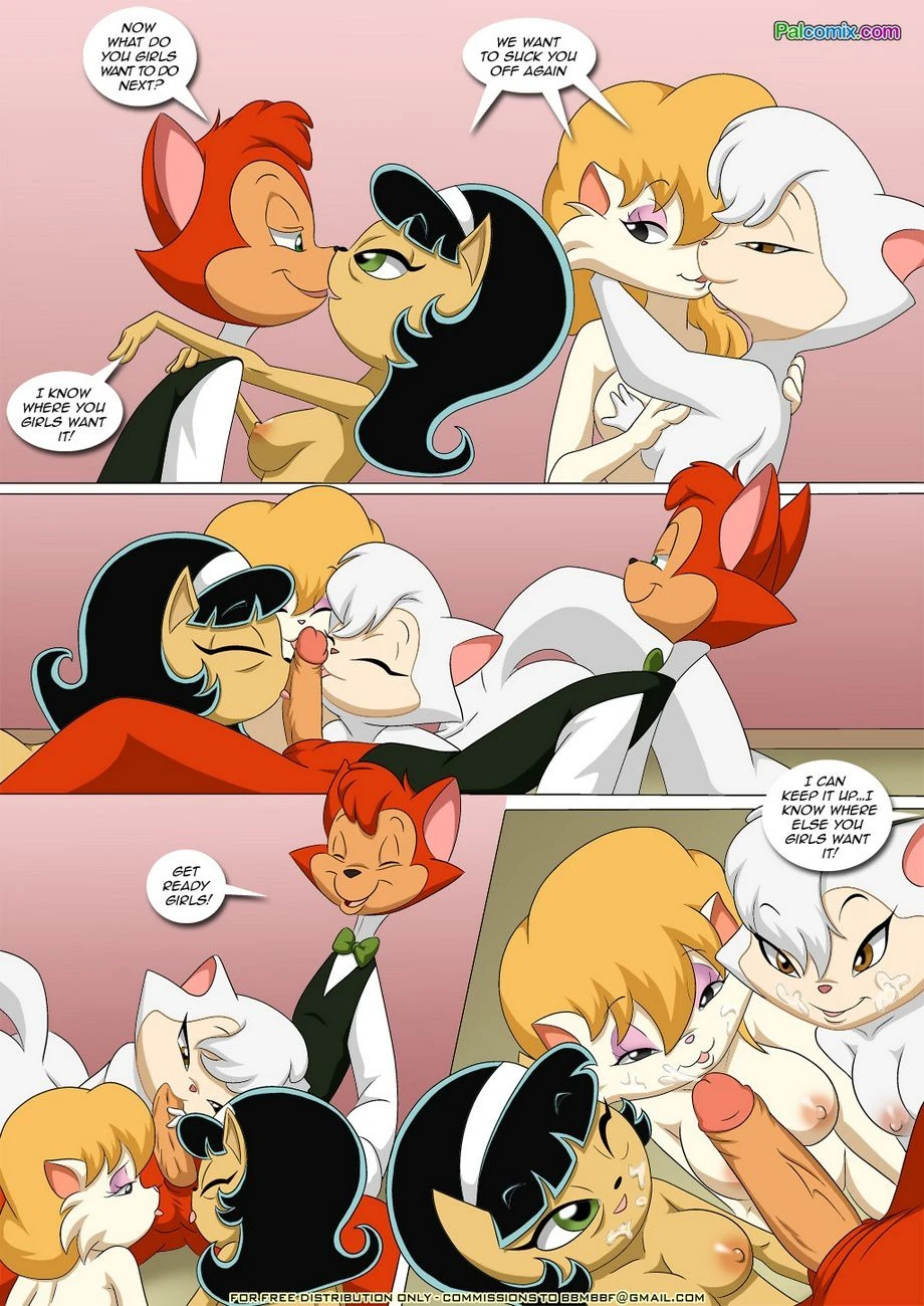 Pussy Cats (Cats Don’t Dance , Heathcliff & The Catillac Cats) [Palcomix] - 1 . Pussy Cats (Cats Don't Dance , Heathcliff & The Catillac Cats) [Palcomix] - Page 8