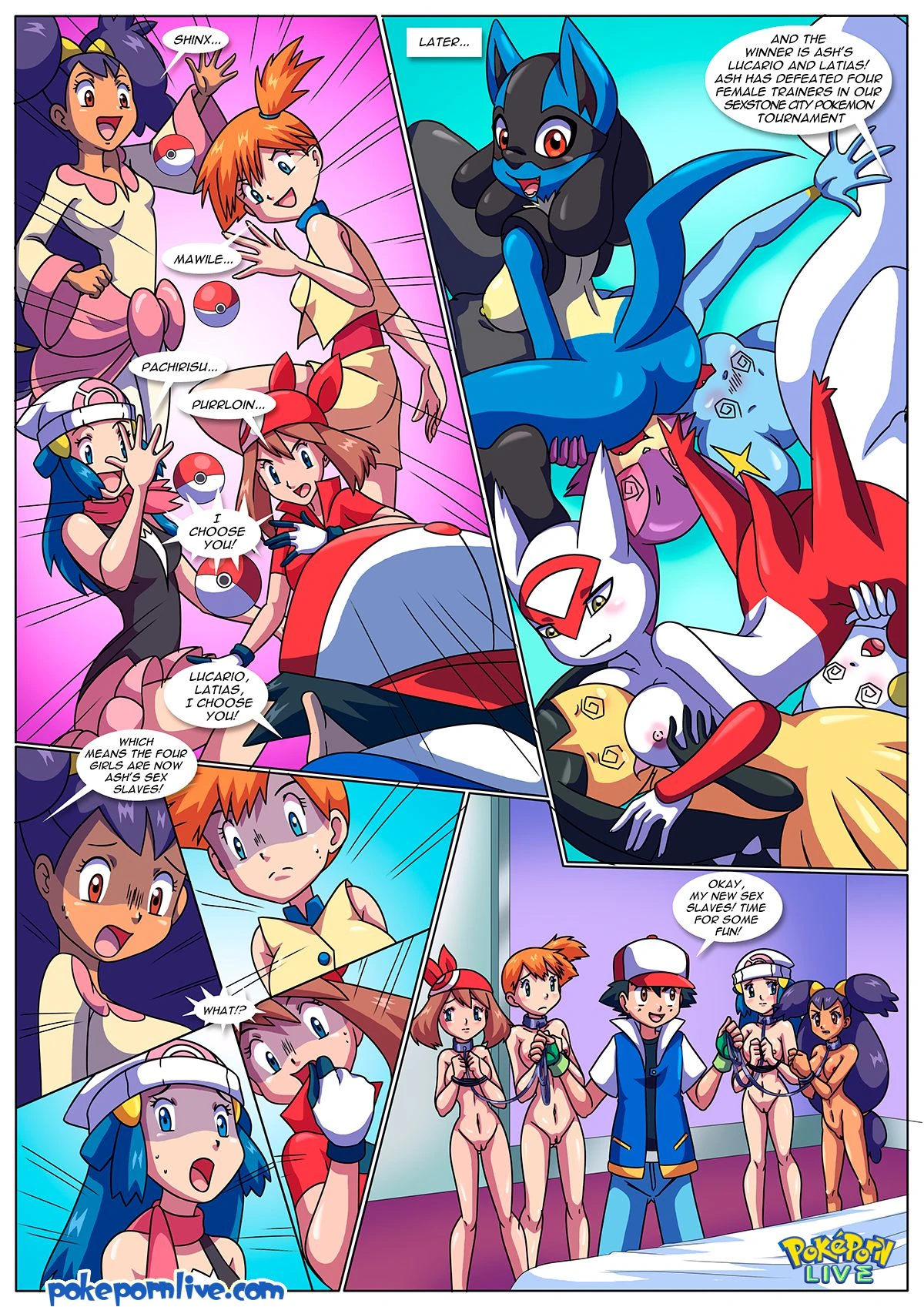 The Pokemon Master (Pokemon) [Palcomix] - 1 . The Pokemon Master - (Pokemon) [Palcomix] - Page 17