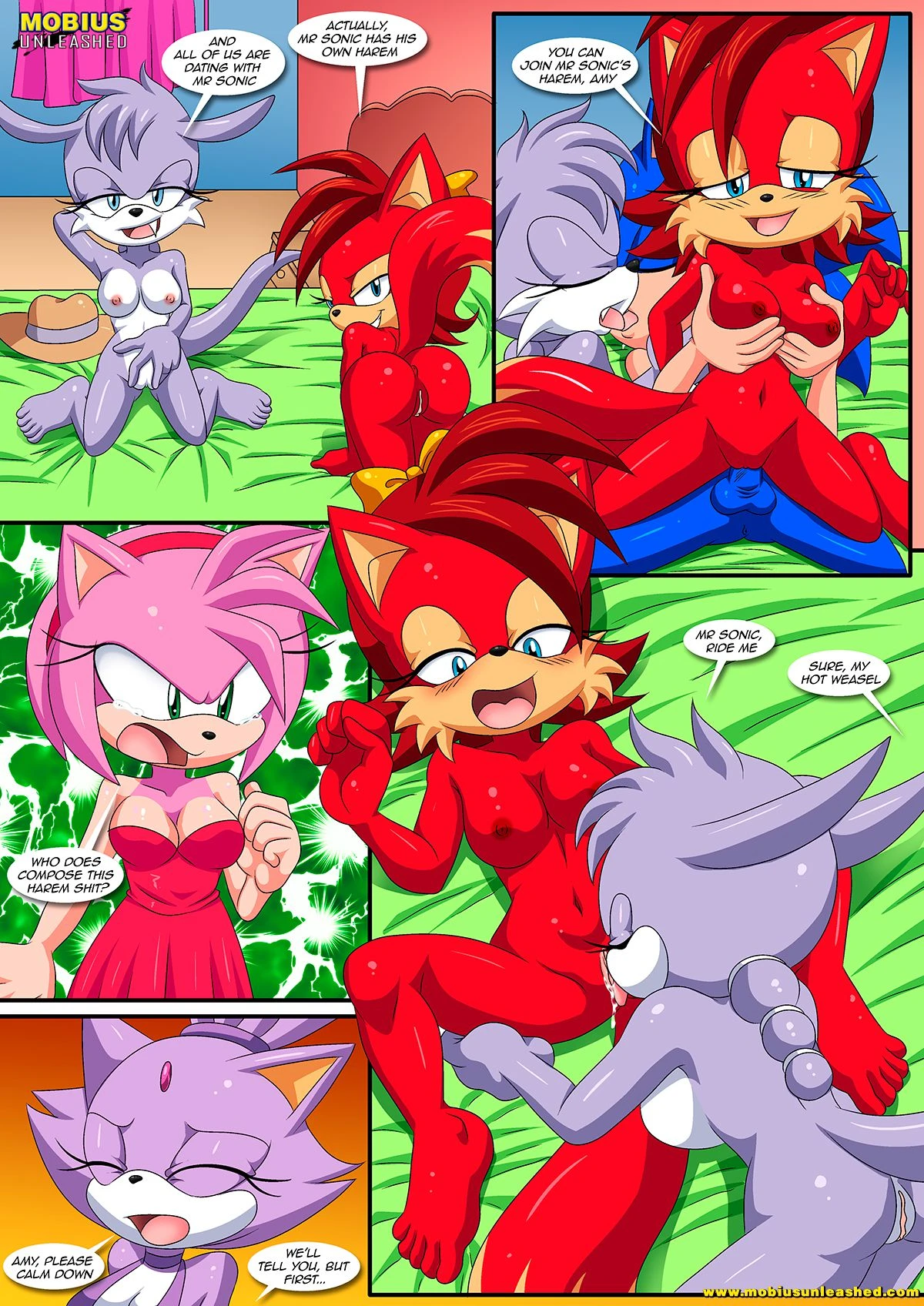 Burning Love (Sonic the Hedgehog) [Palcomix , Mobius Unleashed] - 1 . Burning Love - Chapter 1 (Sonic the Hedgehog) - Page 12