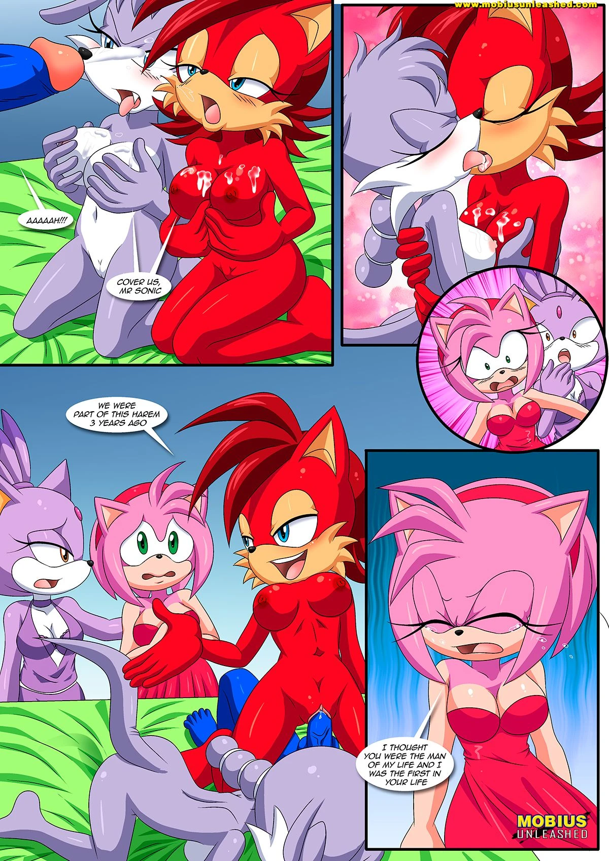 Burning Love (Sonic the Hedgehog) [Palcomix , Mobius Unleashed] - 1 . Burning Love - Chapter 1 (Sonic the Hedgehog) - Page 13