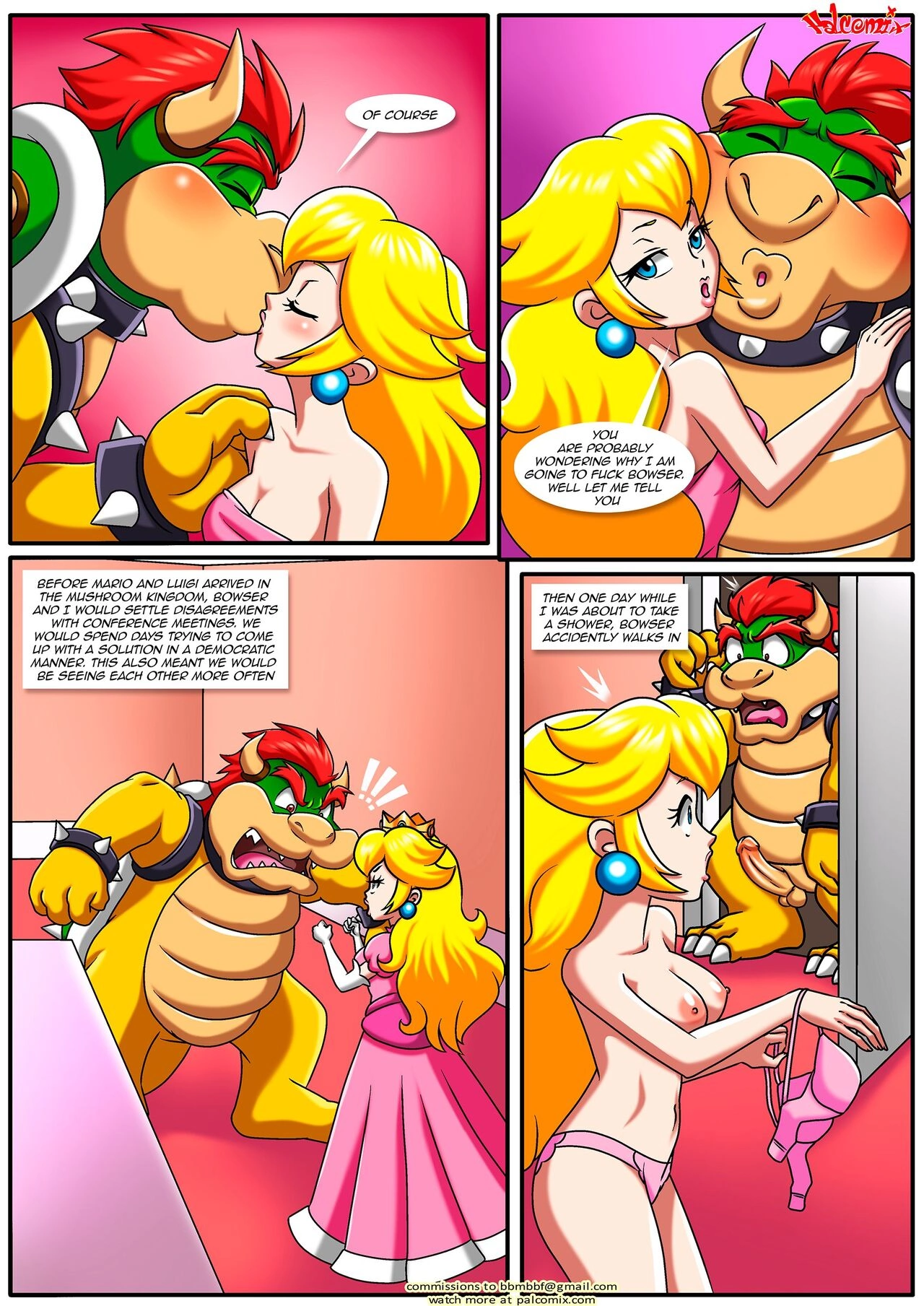 The Mushroom Kingdom Secret [PalComix] - The Mushroom Kingdom Secret - Page 5