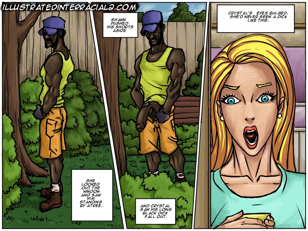 Illustratedinterracial comic