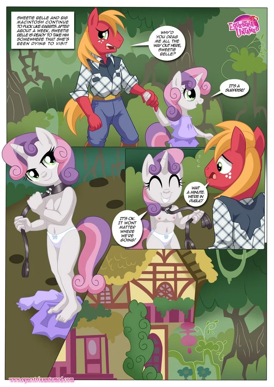 Be My Special Somepony (My Little Pony – Friendship Is Magic) - 1 . Be My Special Somepony - (My Little Pony - Friendship Is Magic) [Palcomix] - Page 17