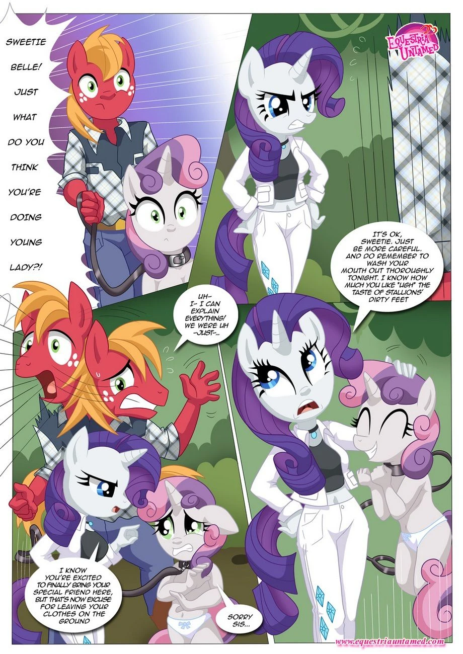 Be My Special Somepony (My Little Pony – Friendship Is Magic) - 1 . Be My Special Somepony - (My Little Pony - Friendship Is Magic) [Palcomix] - Page 18