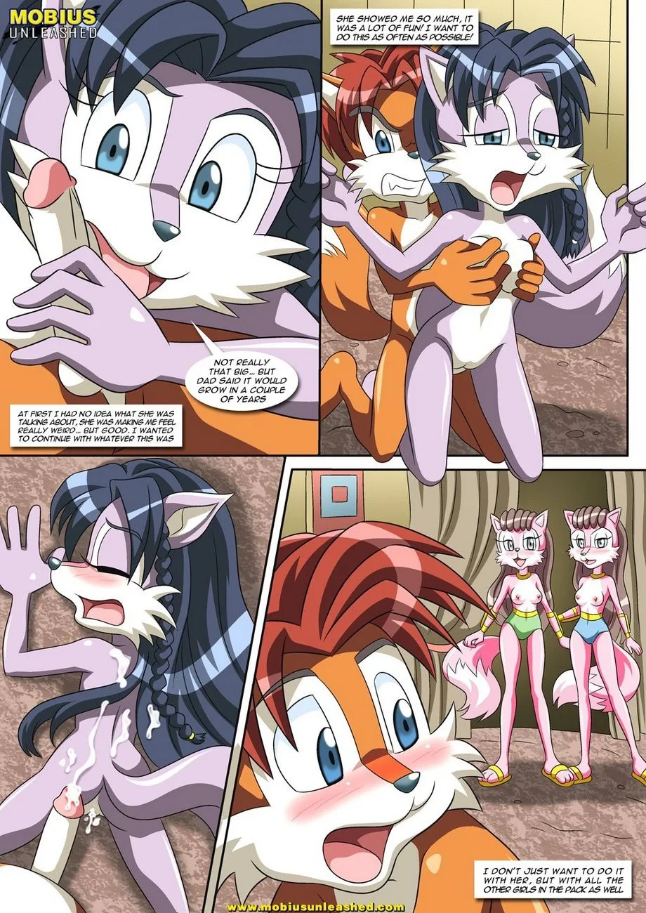 A Wolf Pack Affair (Sonic the Hedgehog) [Palcomix] - 1 . A Wolf Pack Affair - (Sonic the Hedgehog) [Palcomix] - Page 3