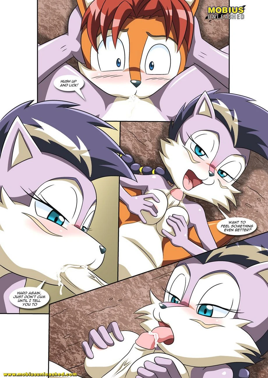 A Wolf Pack Affair (Sonic the Hedgehog) [Palcomix] - 1 . A Wolf Pack Affair - (Sonic the Hedgehog) [Palcomix] - Page 11