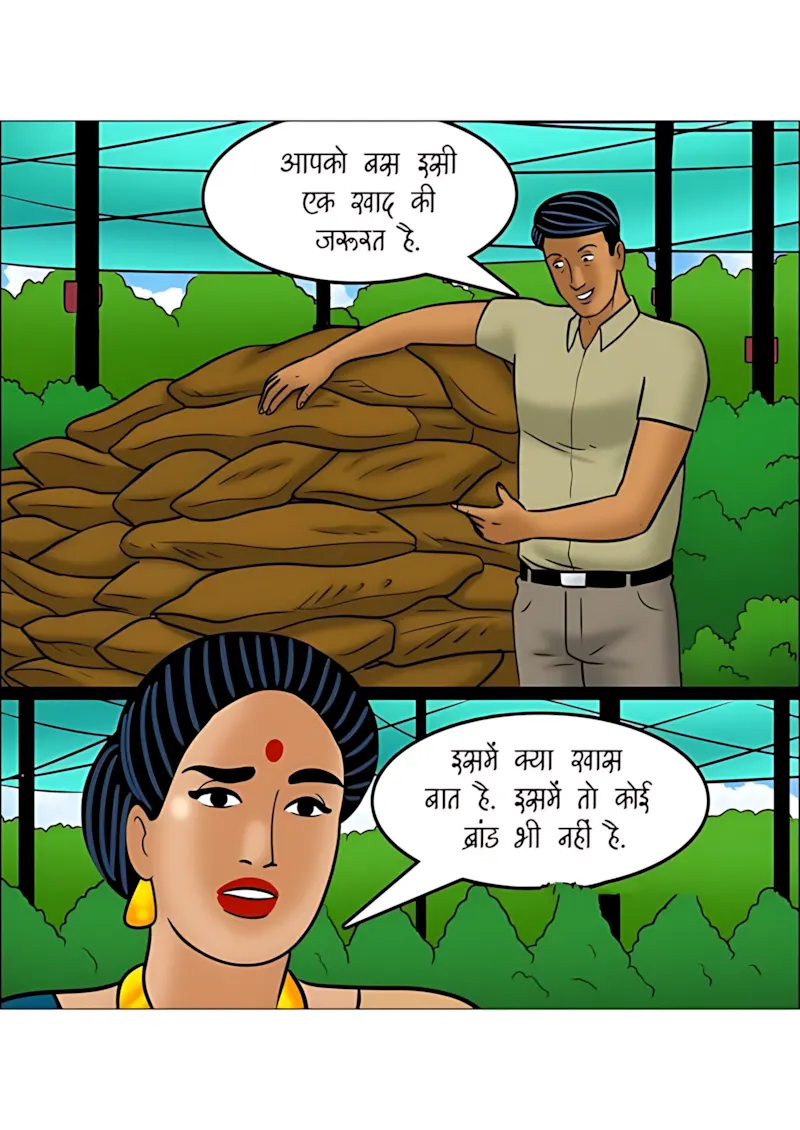Velamma Hindi Episodes – वेलम्मा हिंदी - 114. Velamma Episode 114 Hindi - माली की मेहनत - Page 7